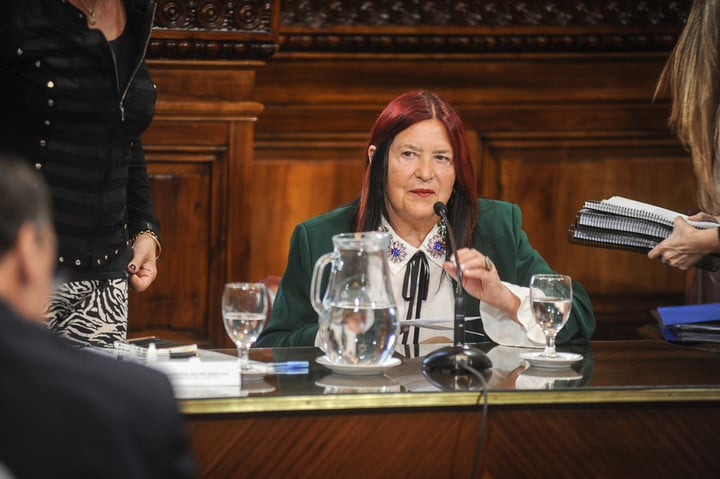 La jueza de casación penal Ana María Figueroa en el Senado  Foto Federico Lopez Claro