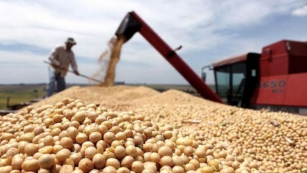 Nuevas medidas que afectan al sector agropecurio
